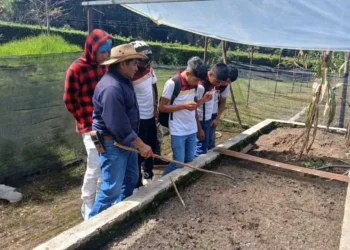 CECyT 44 Natiltón fortalece formación forestal con visita al Vivero Rancho Nuevo