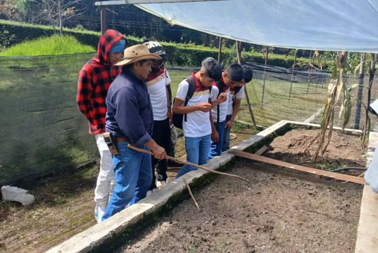 CECyT 44 Natiltón fortalece formación forestal con visita al Vivero Rancho Nuevo