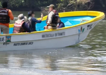 Profepa reubica 13 ejemplares de cocodrilos de río en Chiapas