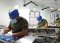 SS convoca a la Jornada Masiva de Esterilización de perros y gatos