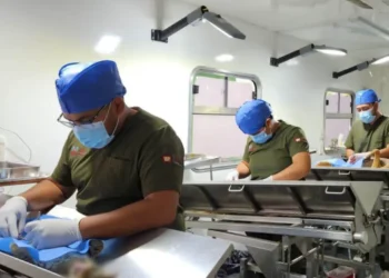 SS convoca a la Jornada Masiva de Esterilización de perros y gatos