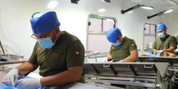 SS convoca a la Jornada Masiva de Esterilización de perros y gatos