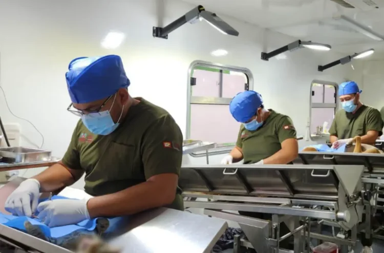 SS convoca a la Jornada Masiva de Esterilización de perros y gatos